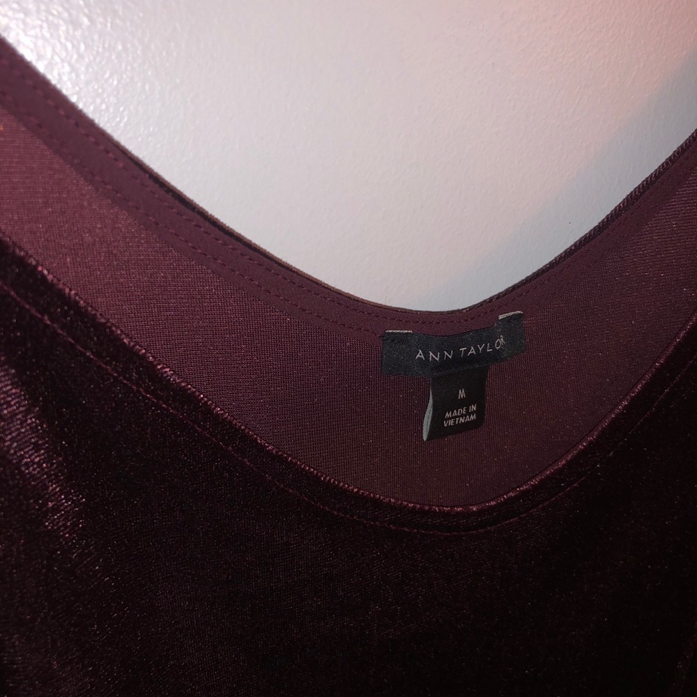 Ann Taylor Velvet Camisole